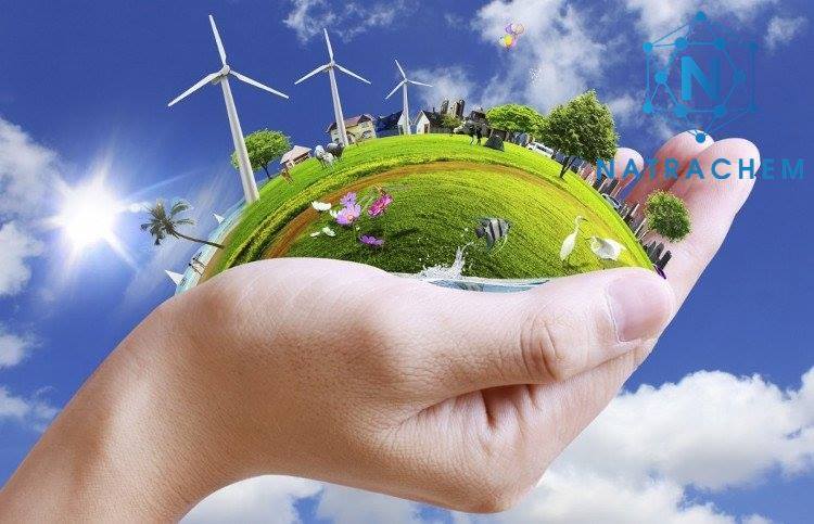 Polymer siêu trương nở