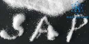 mua Super Absorbent Polymer ở đâu