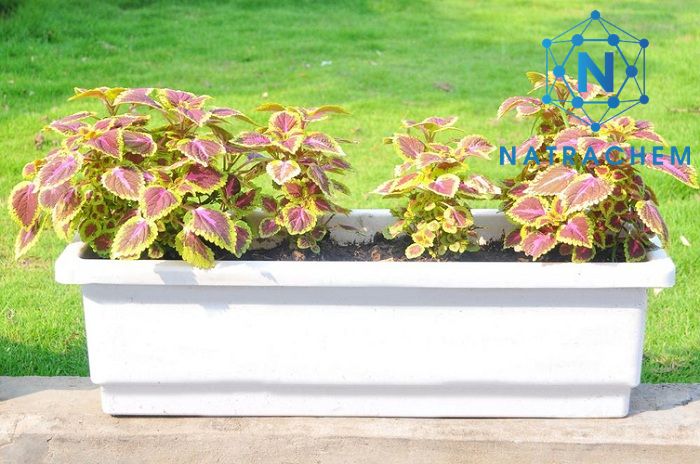 Bột SAP trương nở