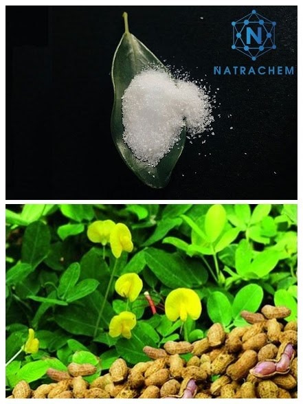 Ứng dụng bột SAP