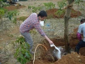 Chất Điều Hòa Độ Ẩm