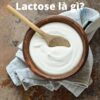 Lactose